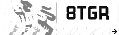 8THTIGER